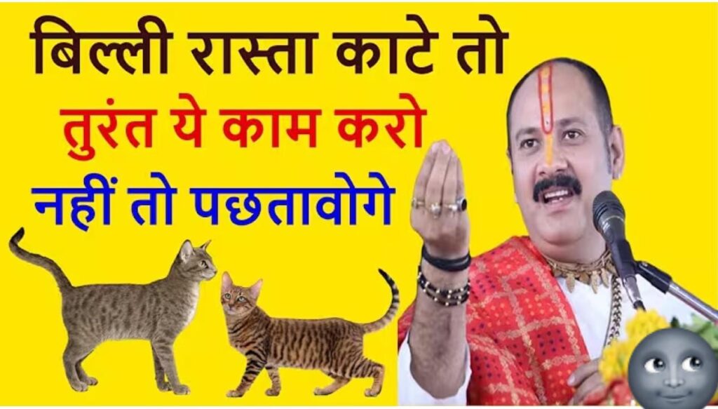 बिल्ली रास्ता काटे तो तुरंत करें ये उपाय: नकारात्मक शक्तियों से बचने का अचूक तरीका